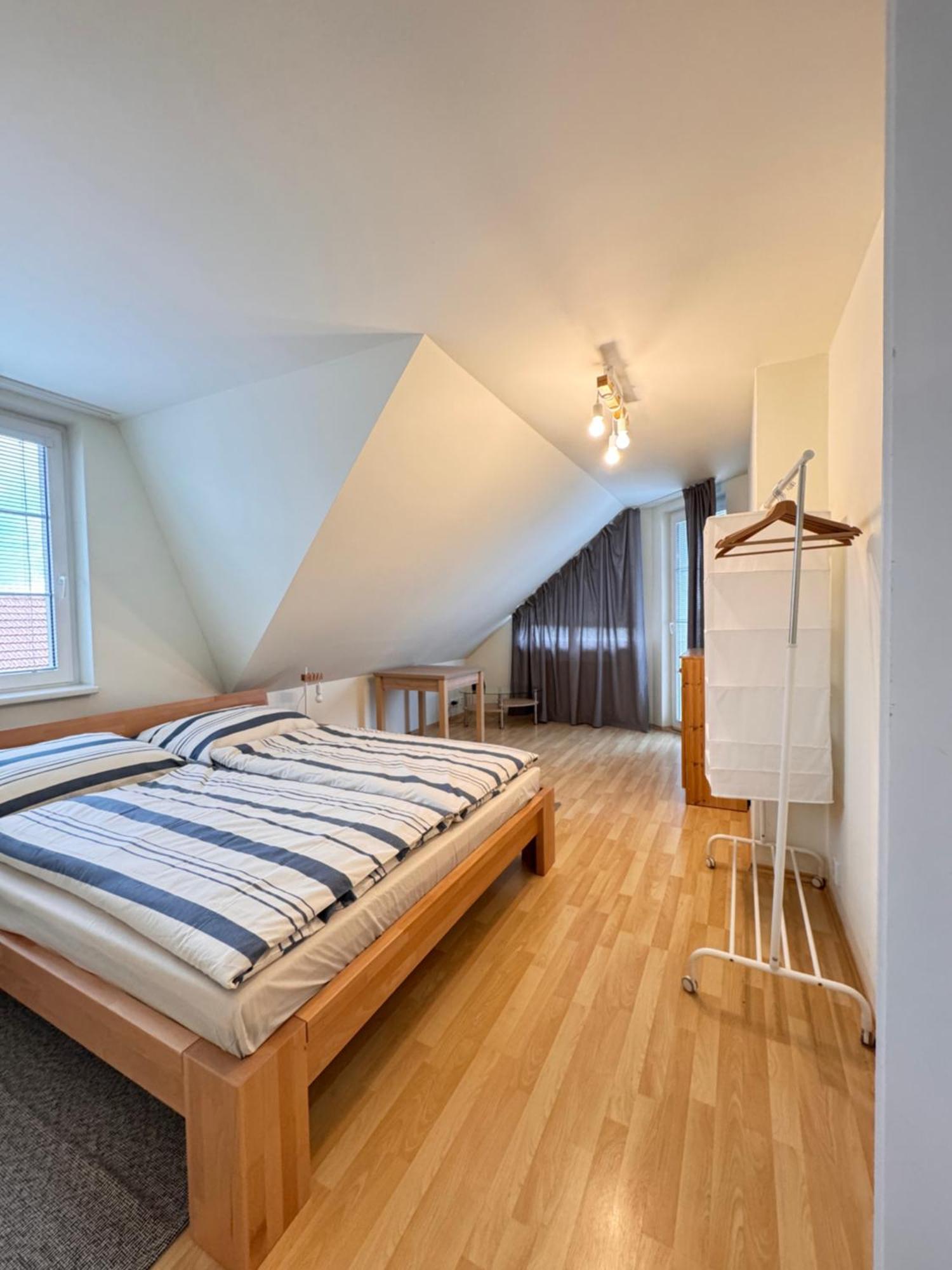 Diamondvilla, 4 Bedroom Apartment, Garden & Praga