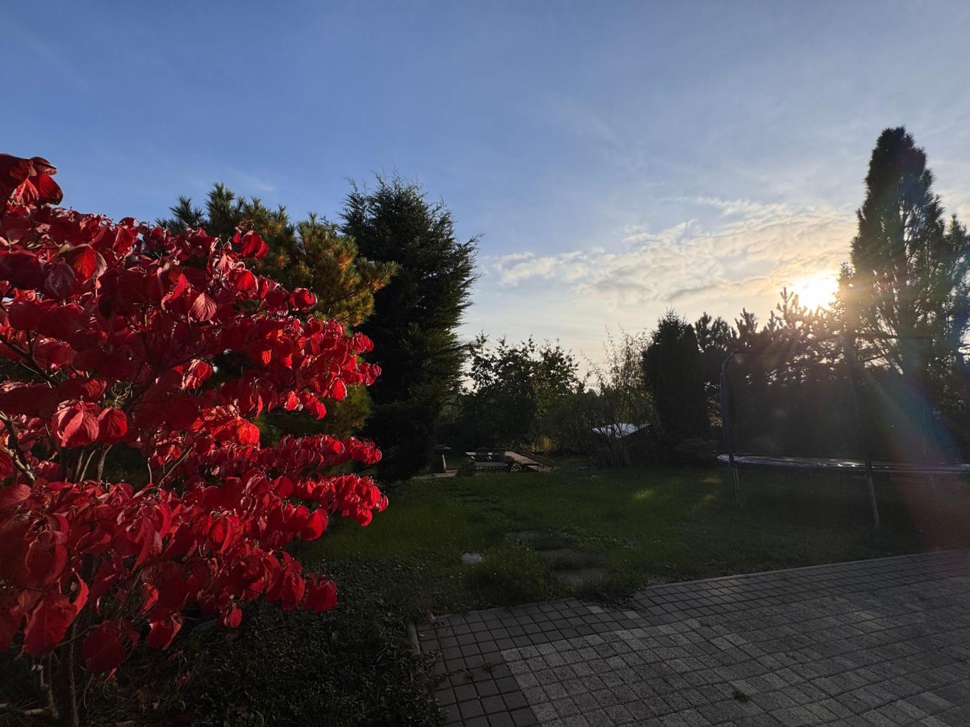 Diamondvilla, 4 Bedroom Apartment, Garden & Appartamento *