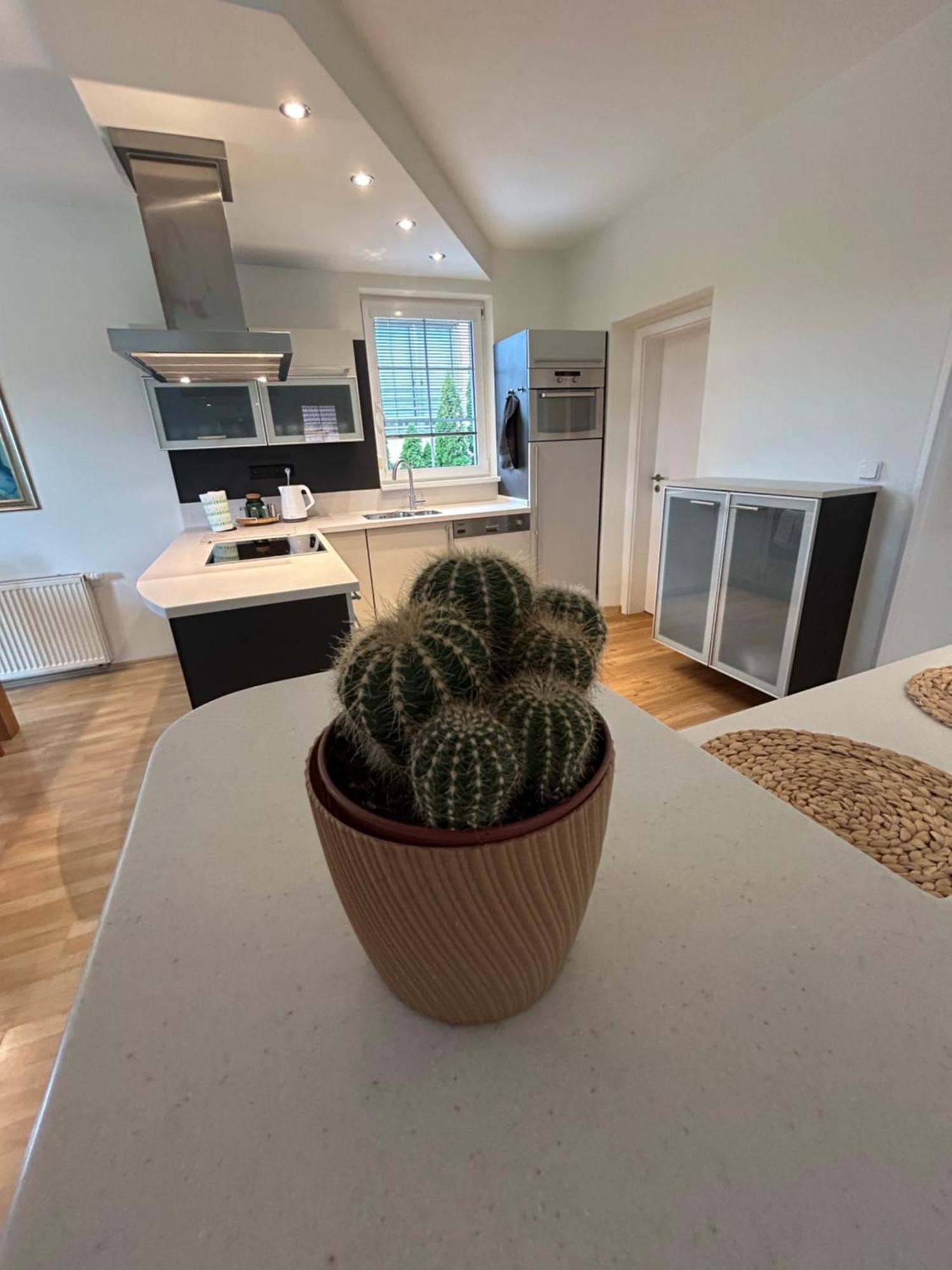 Diamondvilla, 4 Bedroom Apartment, Garden & Apartment Prague